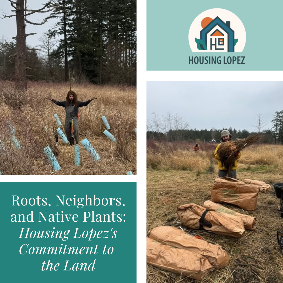 Roots, Neighbors, and Native Plants: Housing Lopez’s Commitment to the Land
